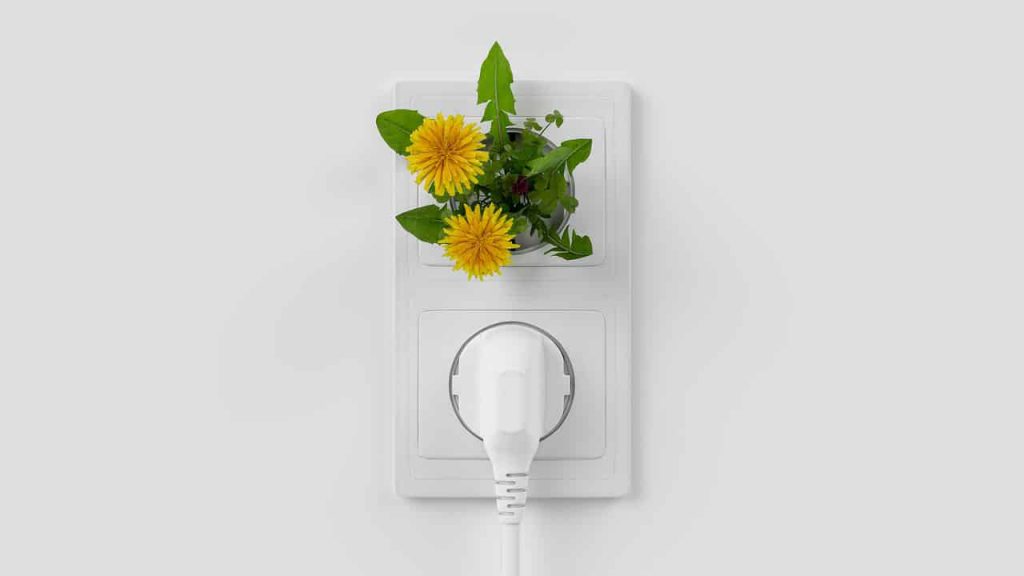 Cleantech czyli czysta technologia – czym jest dokładnie?