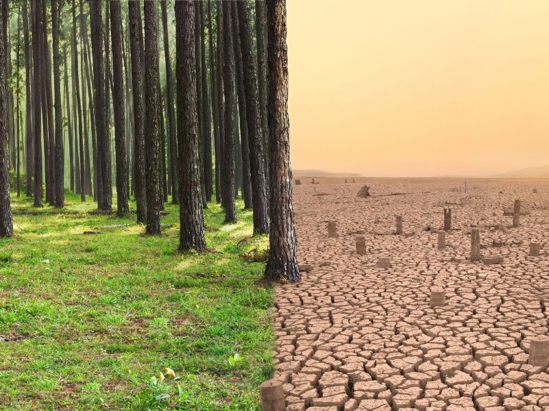RAPORT IPCC: łagodzenie zmian klimatu jest możliwe, ale musimy zacząć działać już teraz
